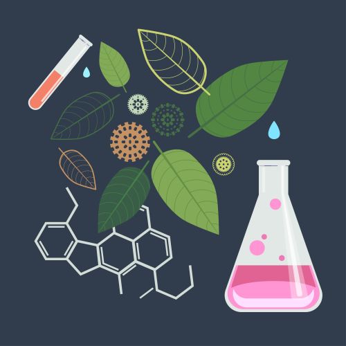 Science in Natural Medicine: Friend or Foe?