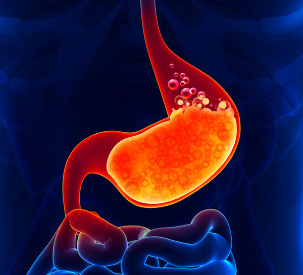 Digestive Enzyme Blend