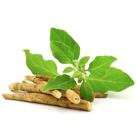 Ashwagandha Root