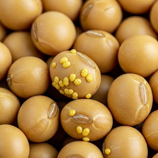 Soy Isoflavones