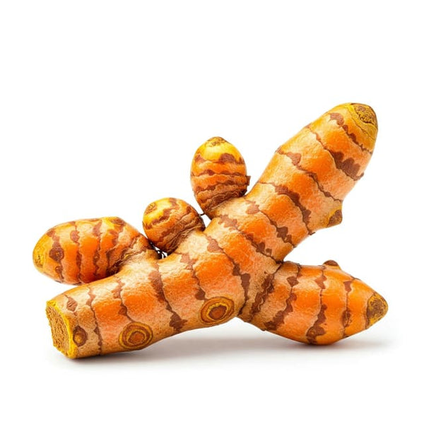 Curcuma Longa (Turmeric 95%)