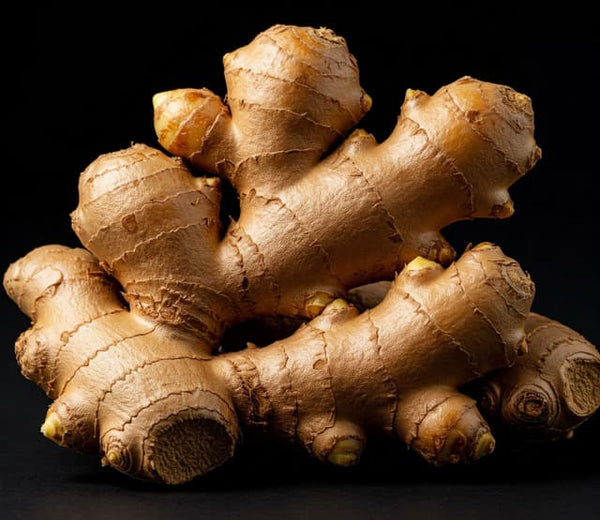 Ginger Root Extract