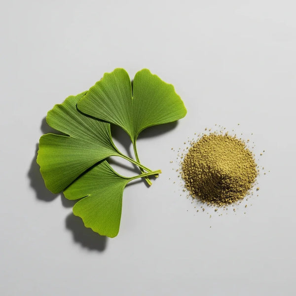 Ginkgo Biloba Extracts