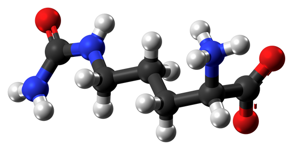 L-Citrulline  