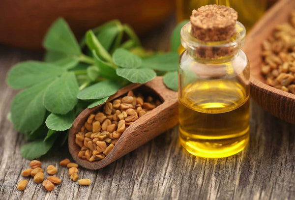 Fenugreek Saponins Extract