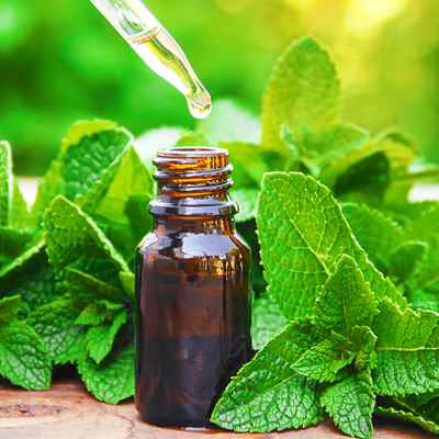 Spearmint Extract