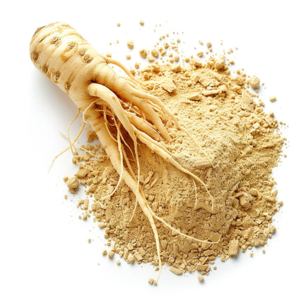 Panax Ginseng Extract