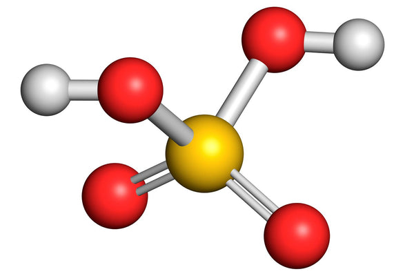 Electrolytes (Sodium, Potassium, Magnesium)